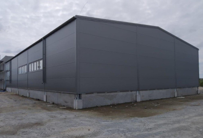 PL005303 EURO-TECH PLUS