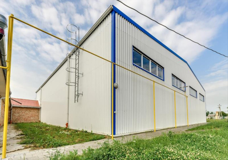 UA0533 АРІОН
