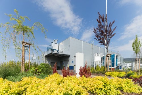 CZ0501 Kolbenschmidt 09931 CZ0501 Kolbenschmidt 09931